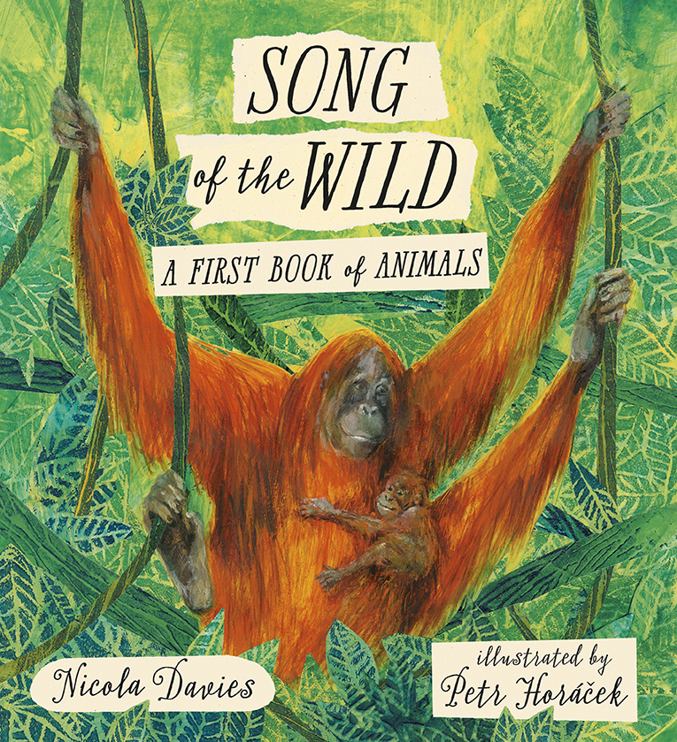 Song of the Wild book cover