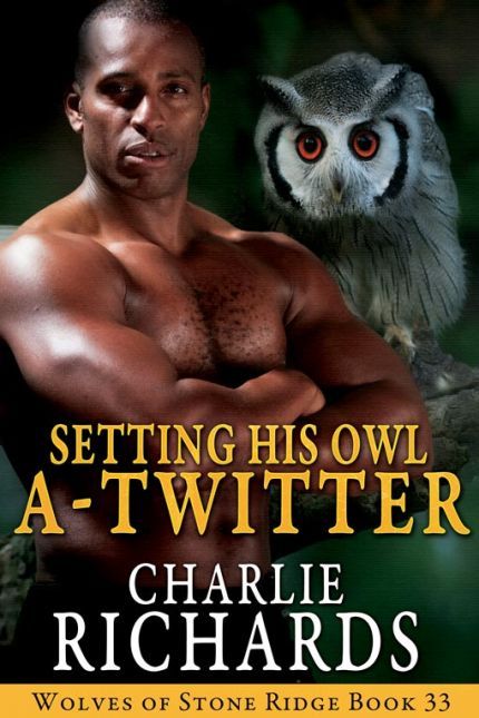 Setting His Owl A-Twitter book cover