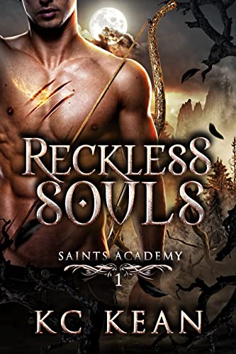 Saints Academy book cover 1