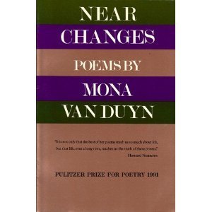 Near Changes book cover