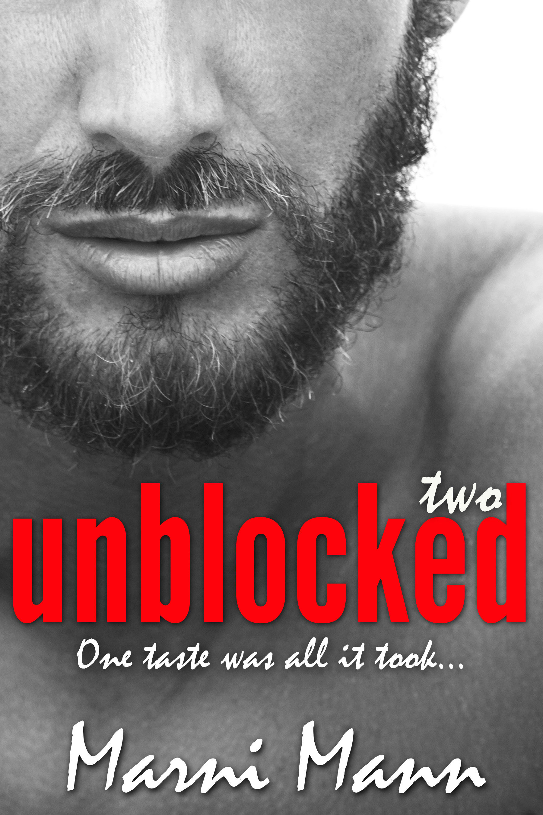 Timber Towers book cover 2