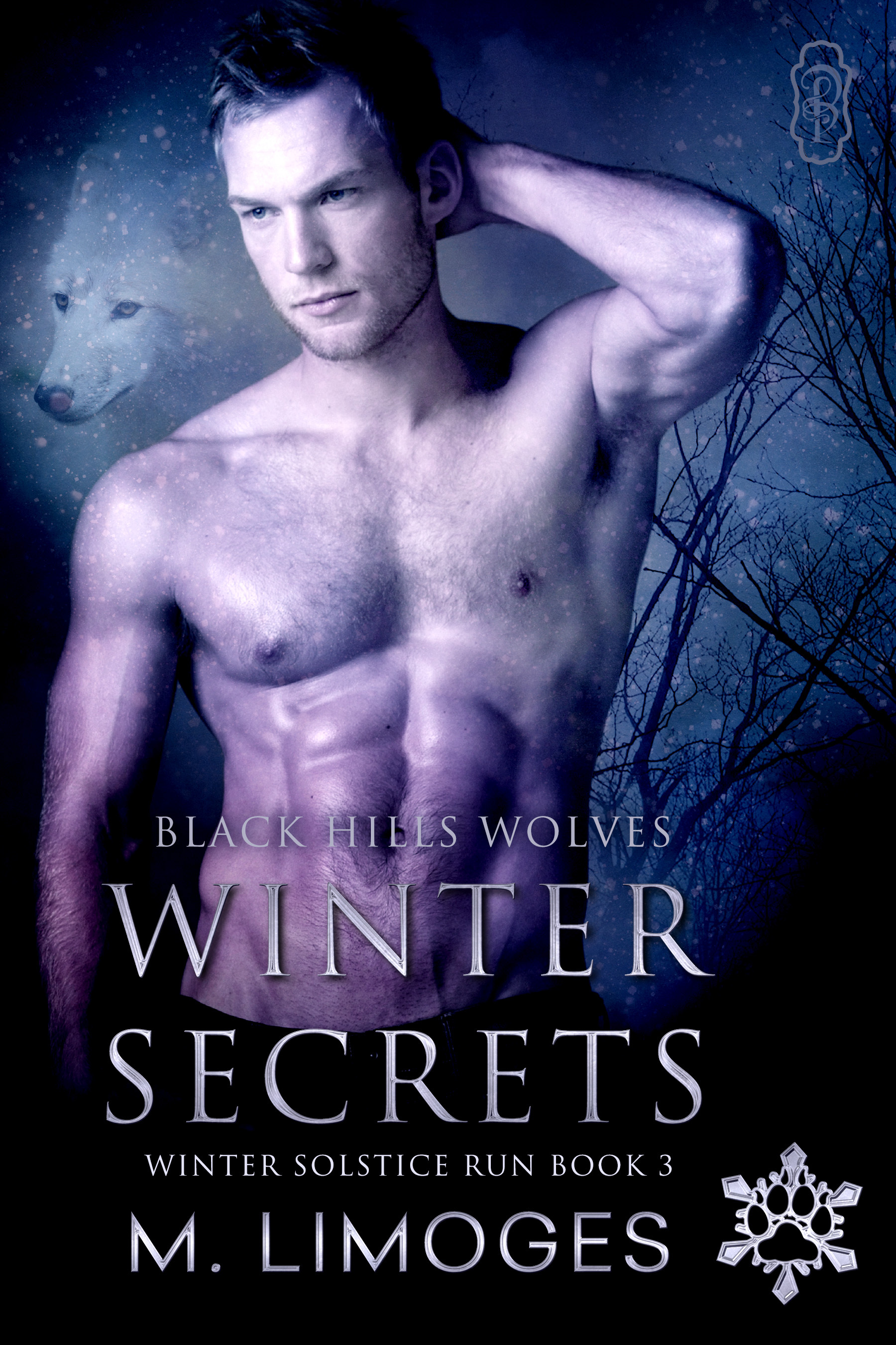 Winter Solstice Run book cover 3