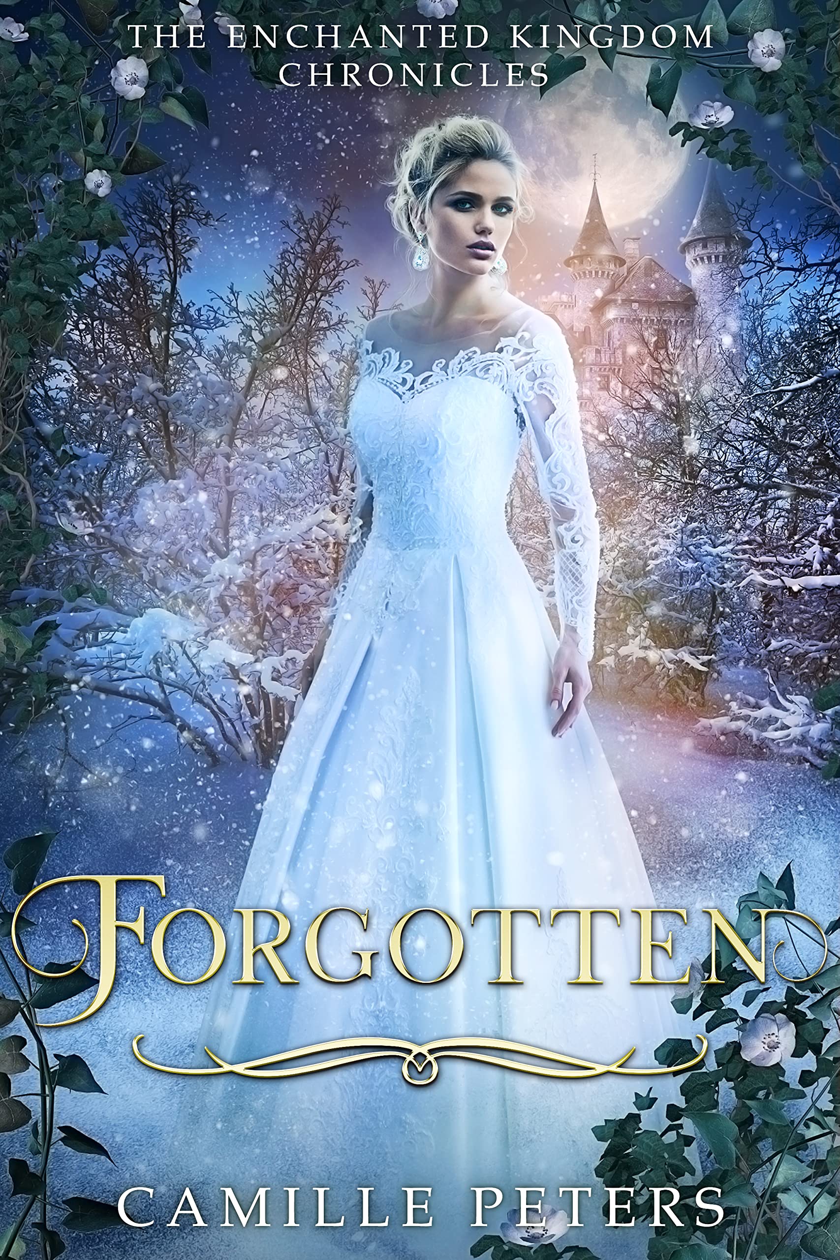 The Enchanted Kingdom Chronicles book cover 1