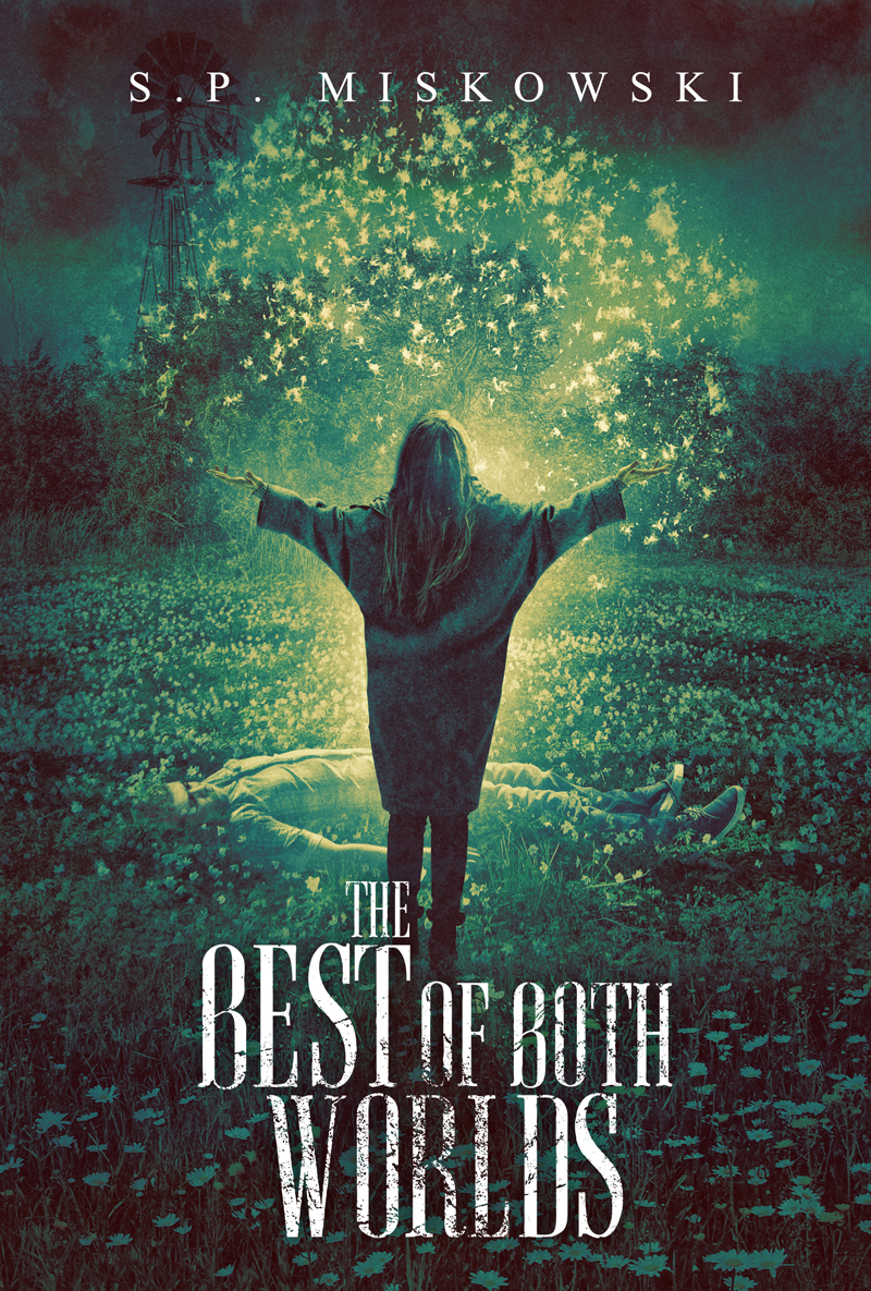 The Best of Both Worlds book cover