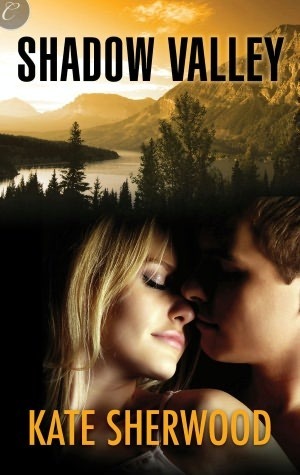 Shadow Valley book cover