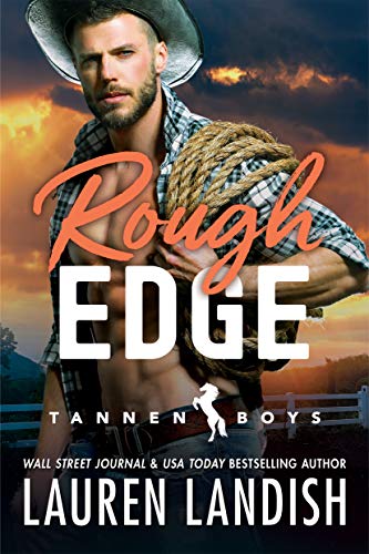Tannen Boys book cover 2