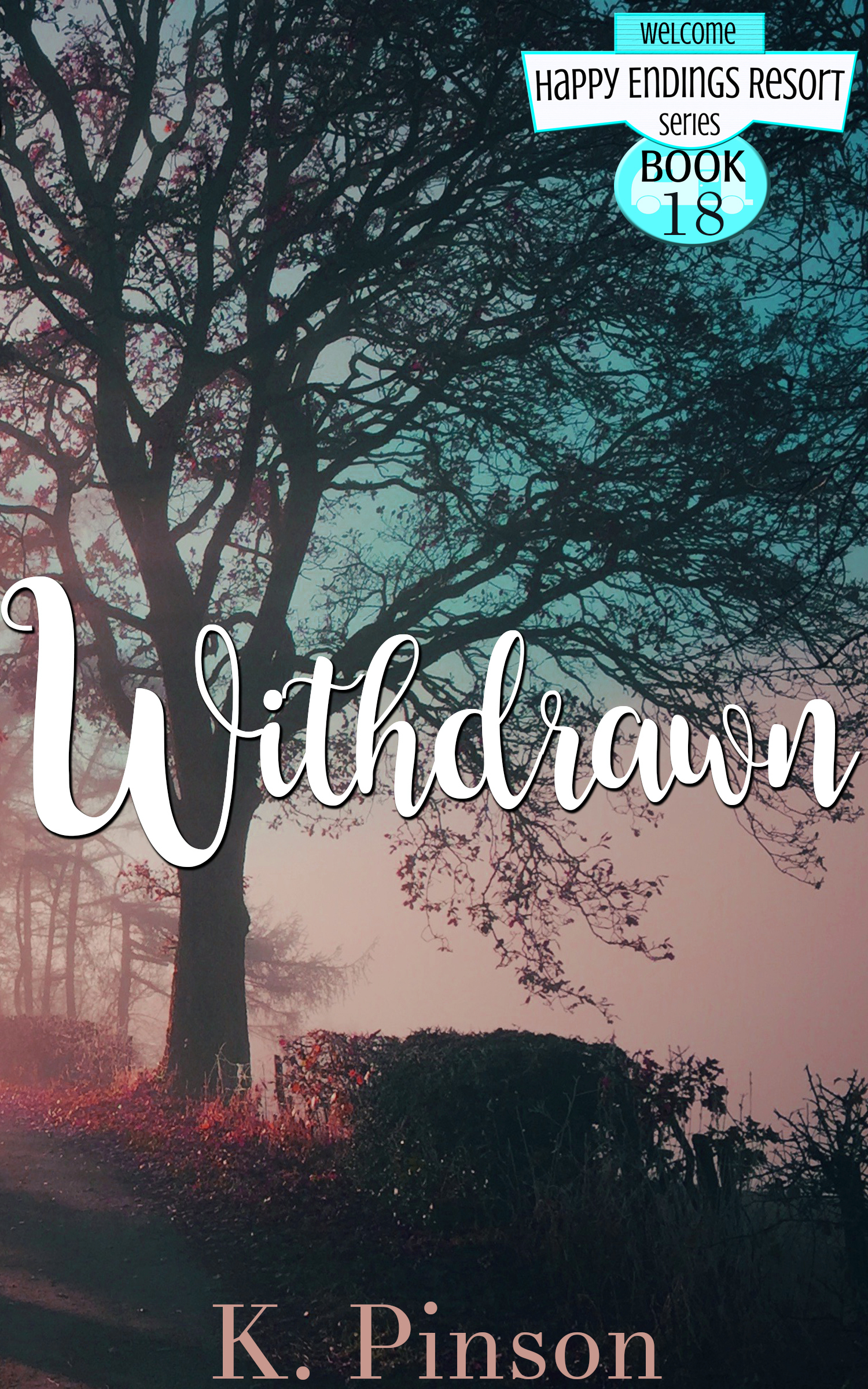 Withdrawn book cover