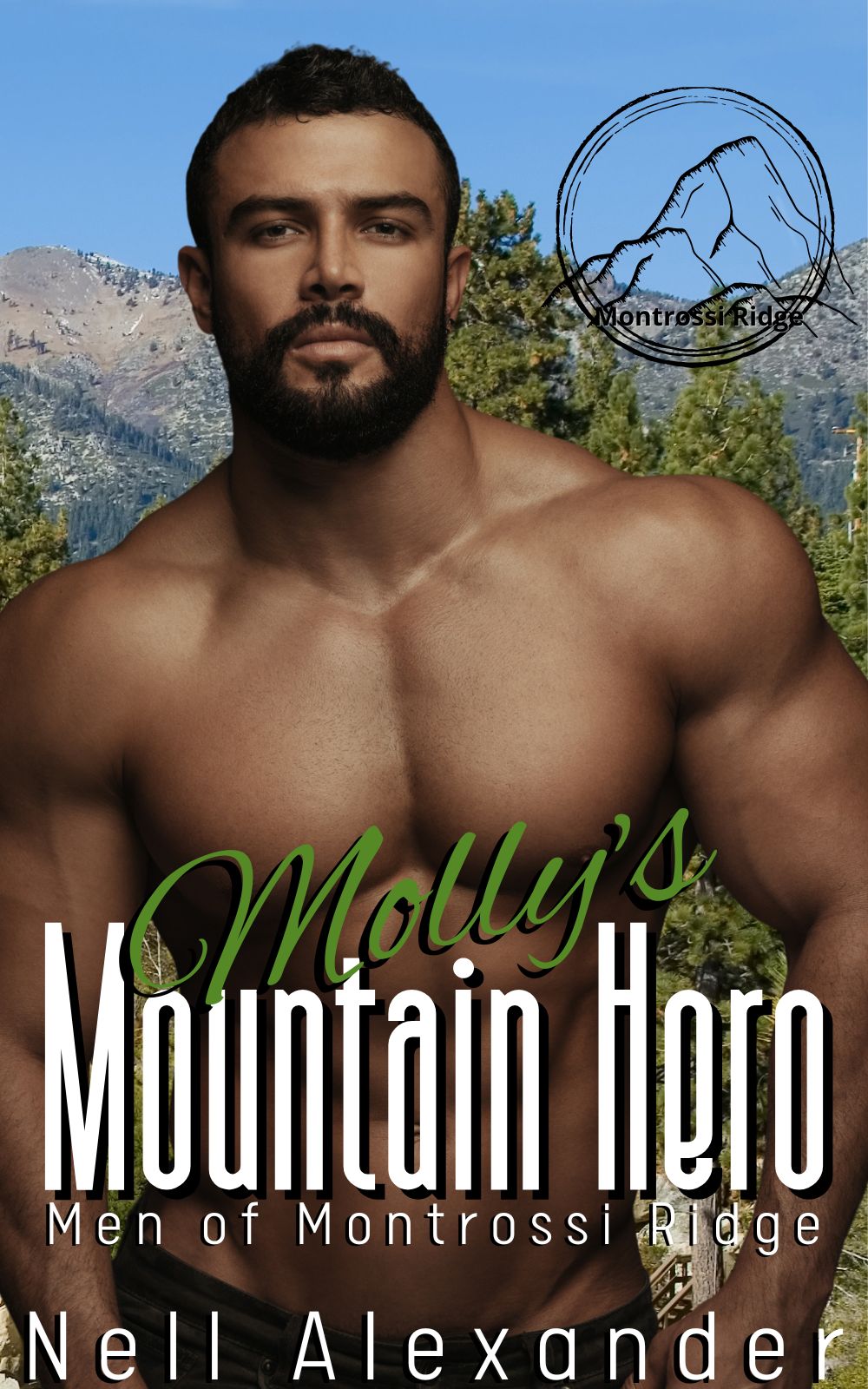 Molly's Mountain Hero book cover