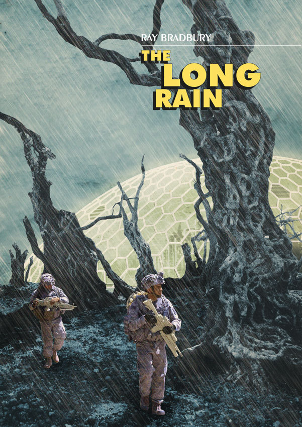 The Long Rain book cover