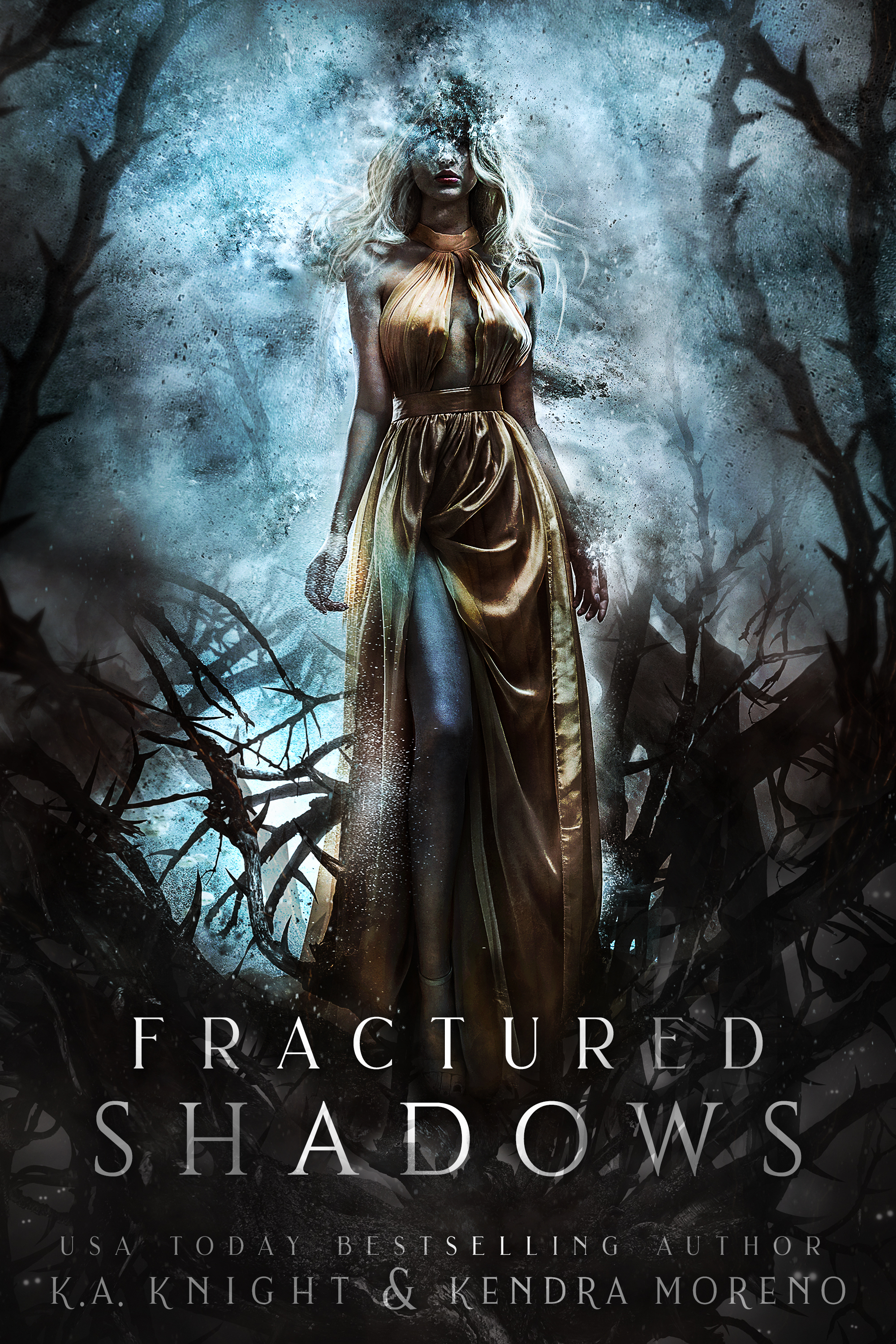 Shadowed Kingdom book cover 1
