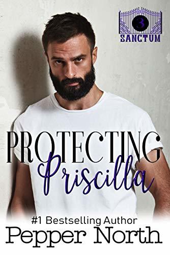 Sanctum book cover 3