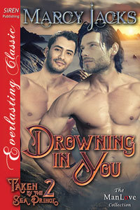 Taken by the Sea Prince book cover 2