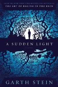 A Sudden Light book cover