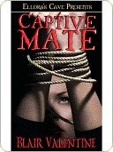 Captive Mate book cover