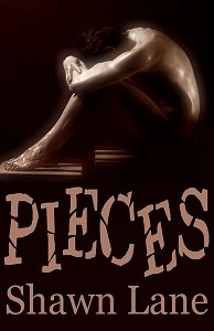 Pieces book cover