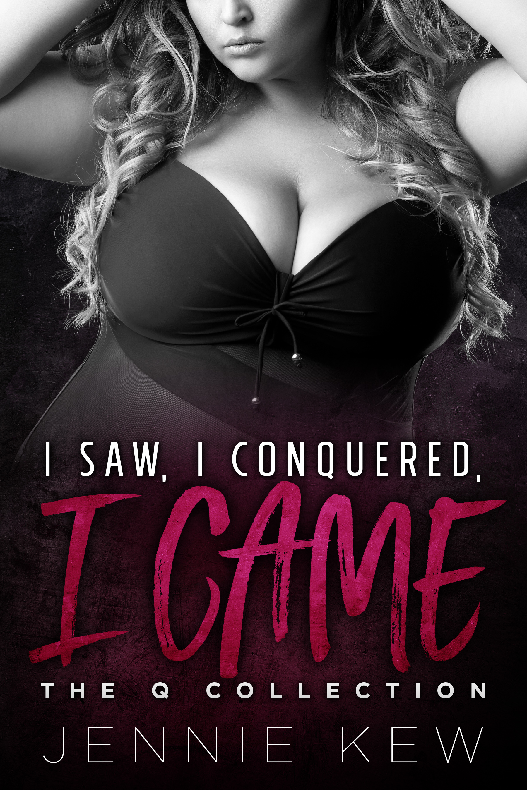The Q Collection book cover 2