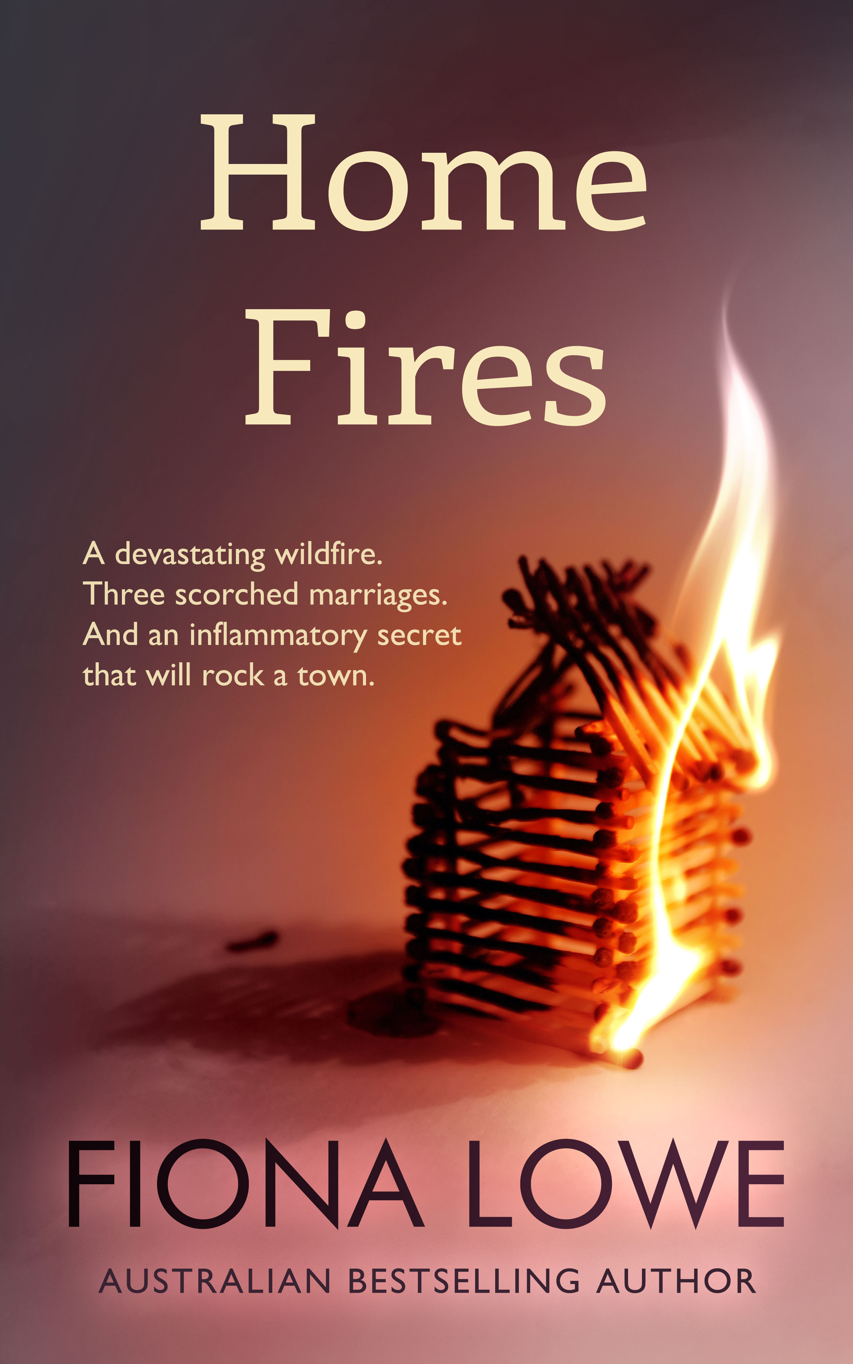 Home Fires book cover