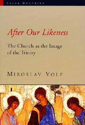 After Our Likeness book cover