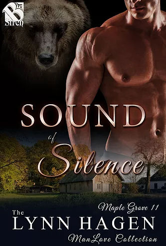 Sound of Silence book cover