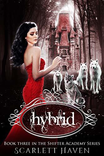 Shifter Academy book cover 3