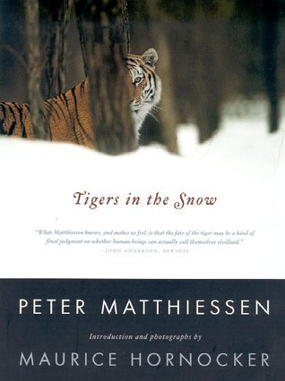 Tigers in the Snow book cover
