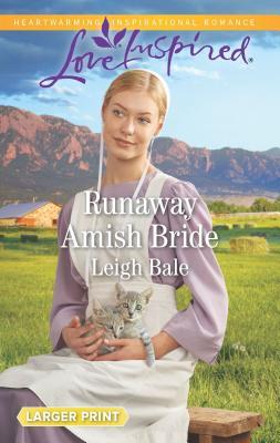 Colorado Amish Courtships book cover 1