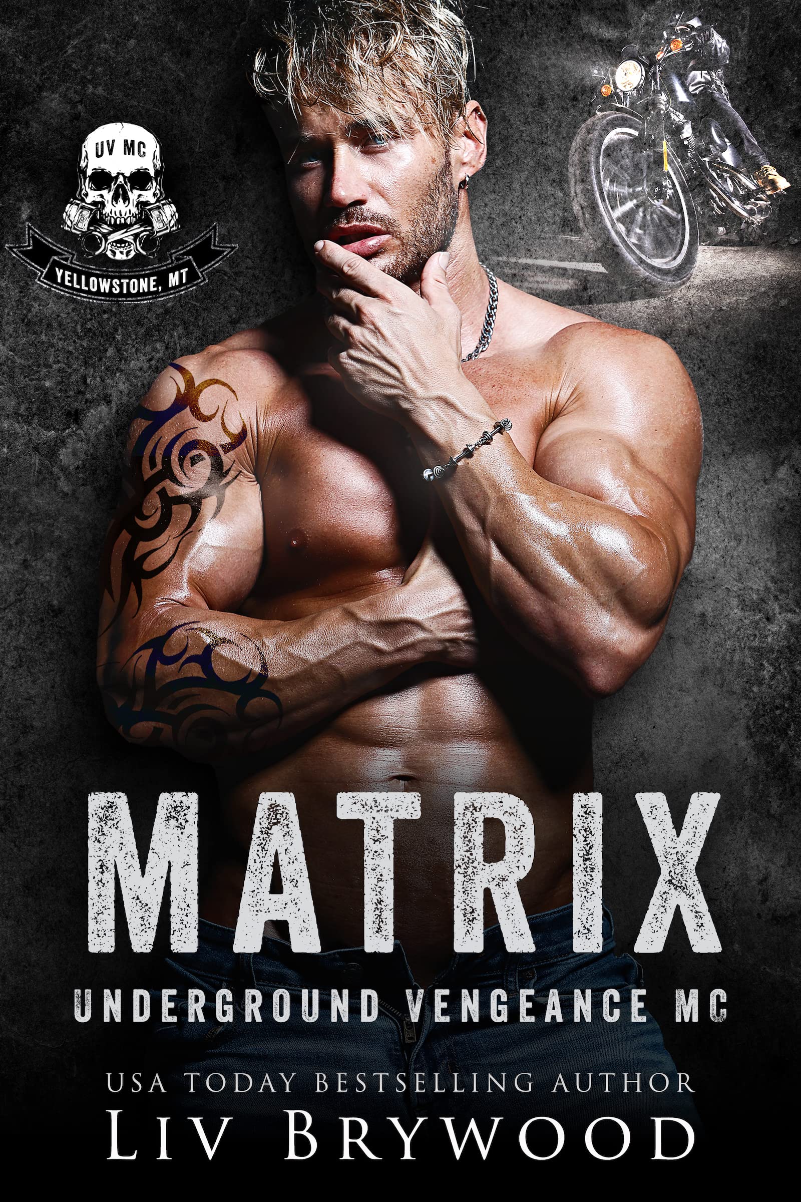 Matrix book cover