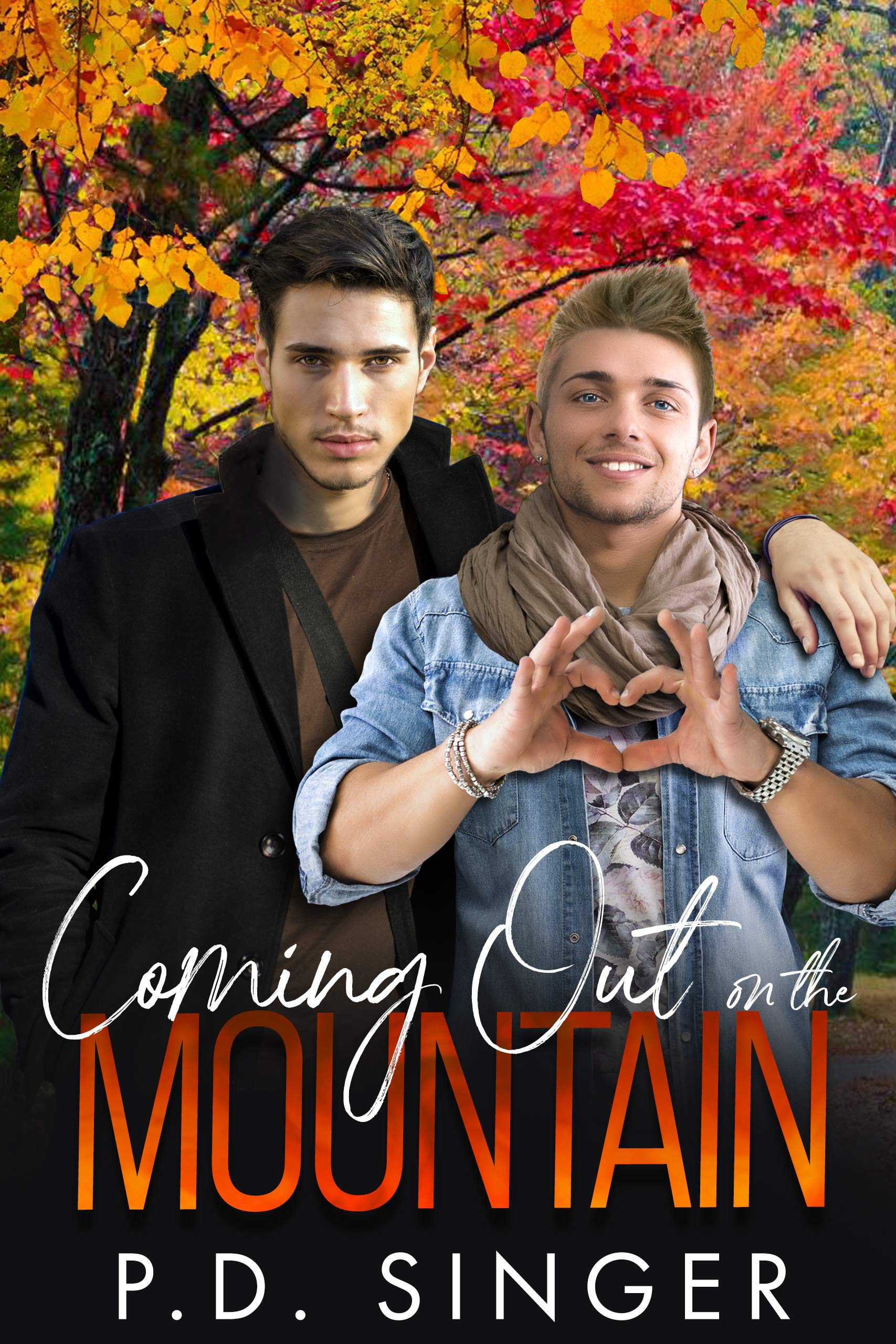 Coming Out on the Mountain book cover