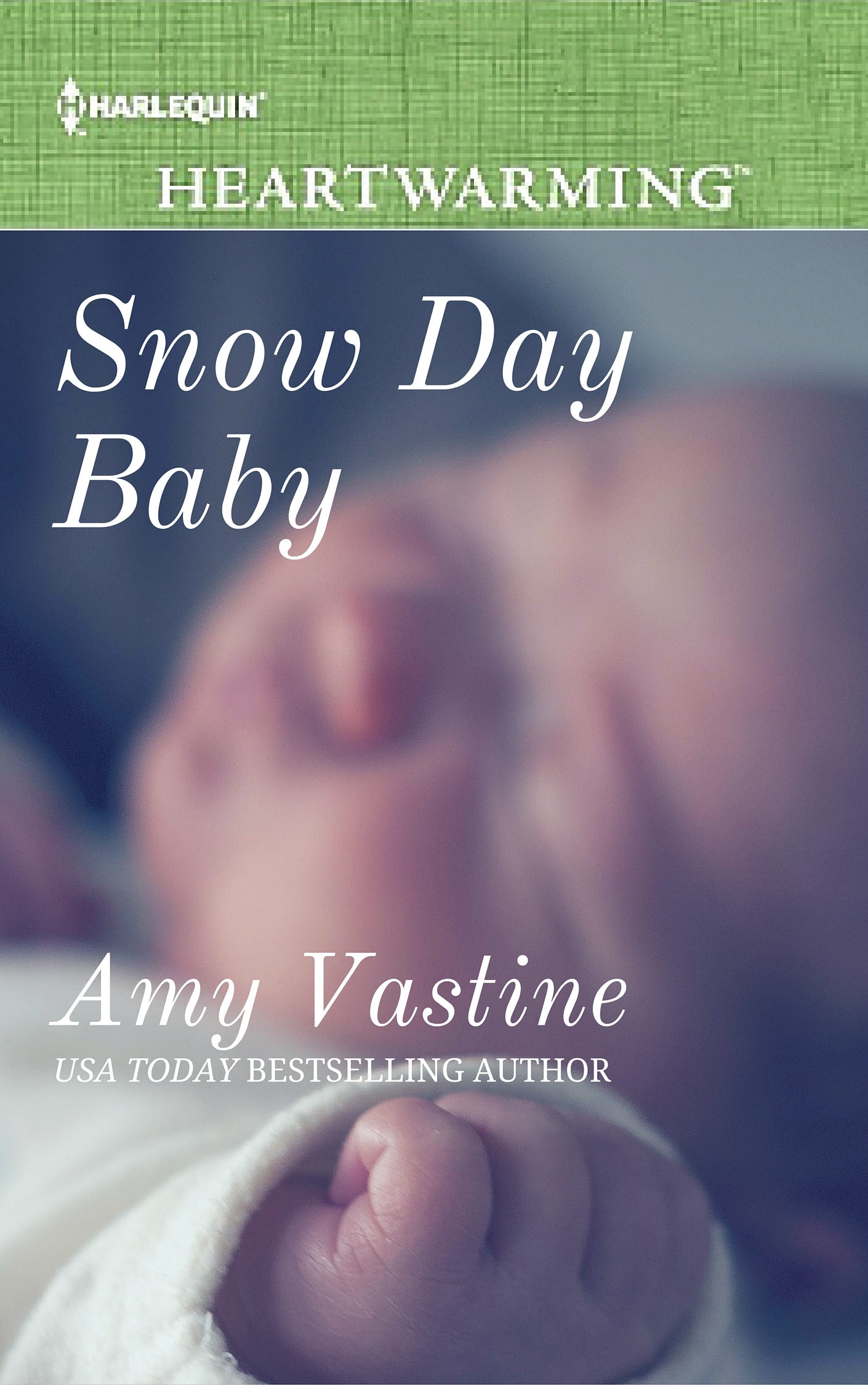 Snow Day Baby book cover