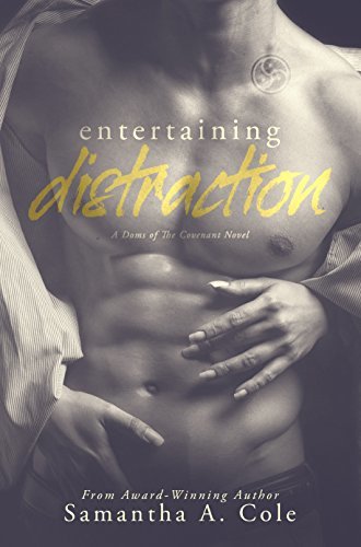 Entertaining Distraction book cover