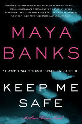 Slow Burn book cover 1
