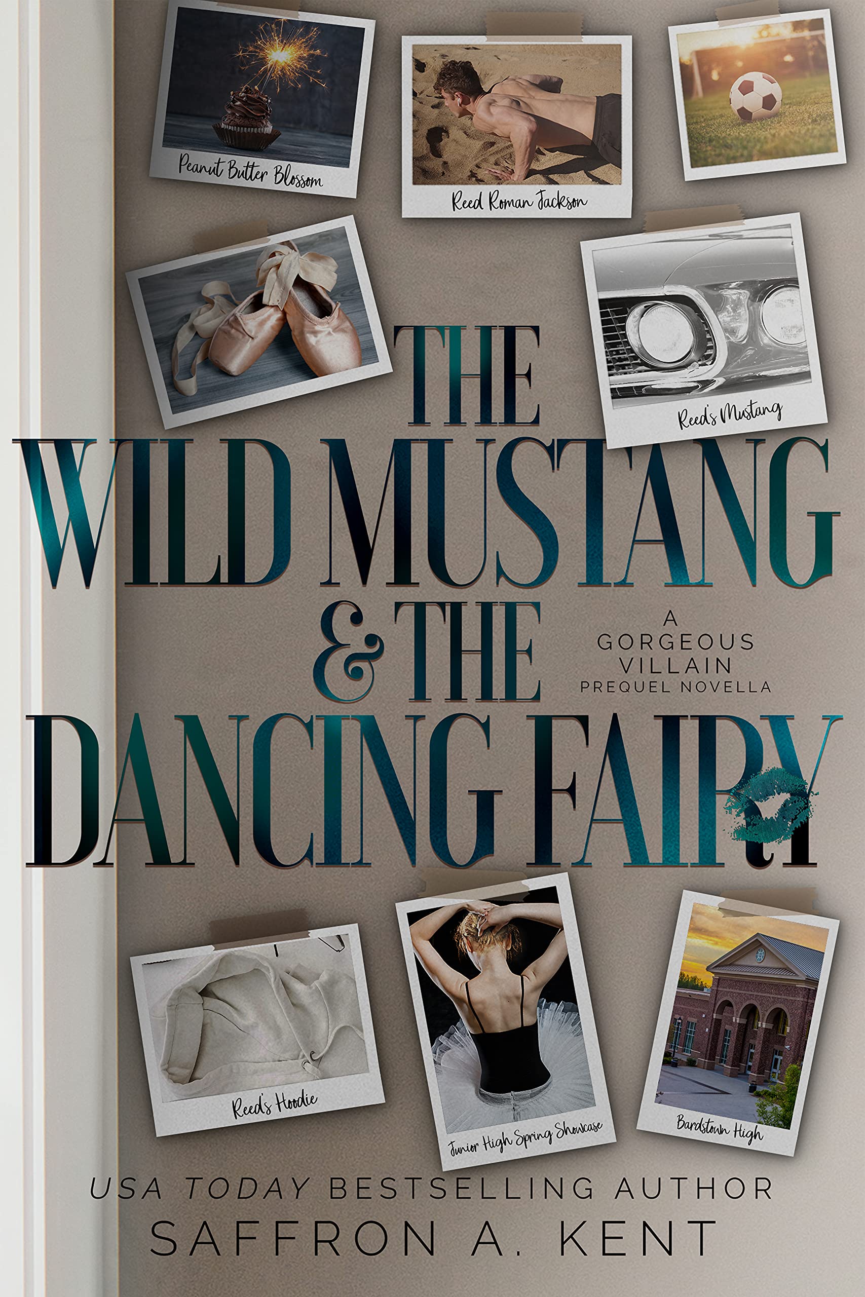 The Wild Mustang & The Dancing Fairy book cover