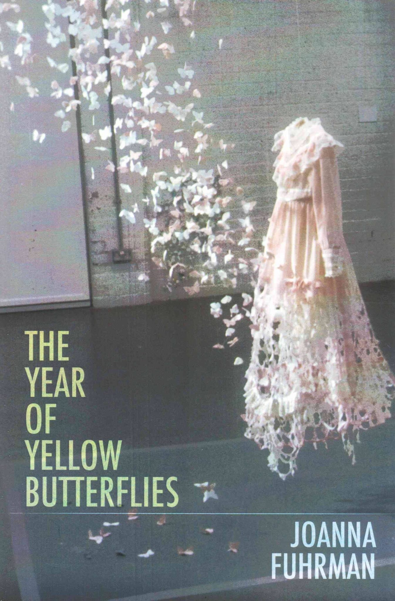 The Year of Yellow Butteflies book cover
