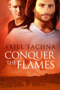 Conquer the Flames book cover