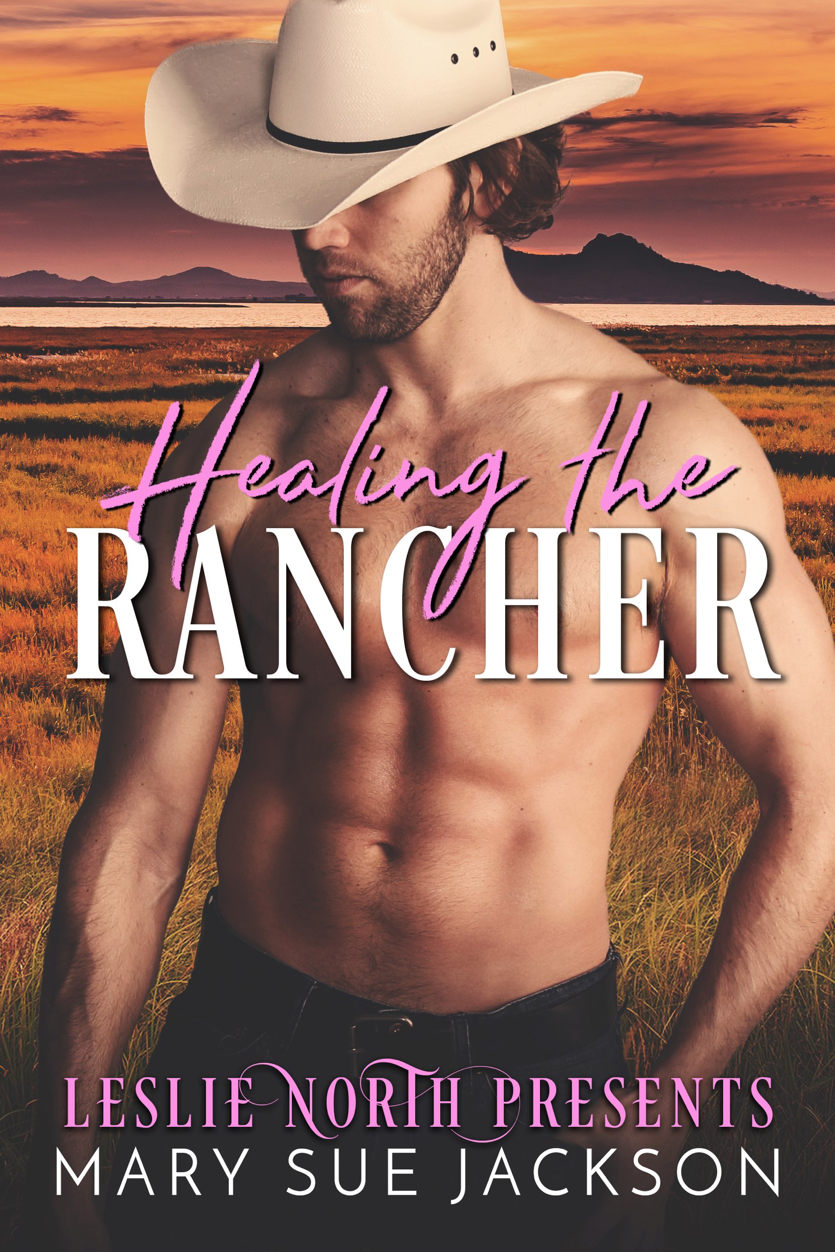Healing the Rancher book cover