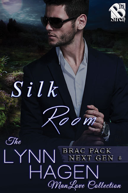 Silk Room book cover