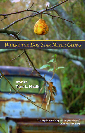 Where the Dog Star Never Glows book cover