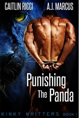 Kinky Kritters book cover 1
