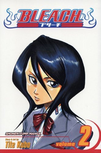 Bleach book cover 2