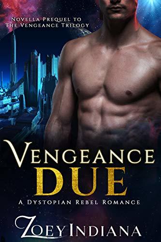 Vengeance Due book cover