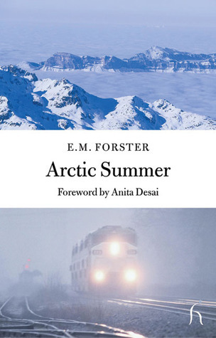 Arctic Summer book cover