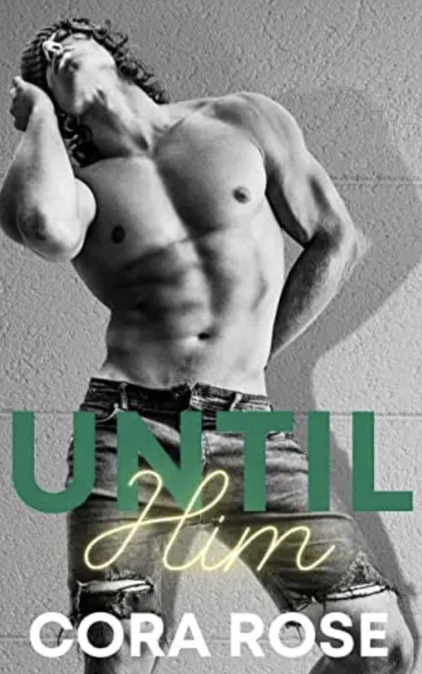 Inevitable book cover 1