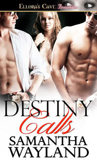 Destiny Calls book cover