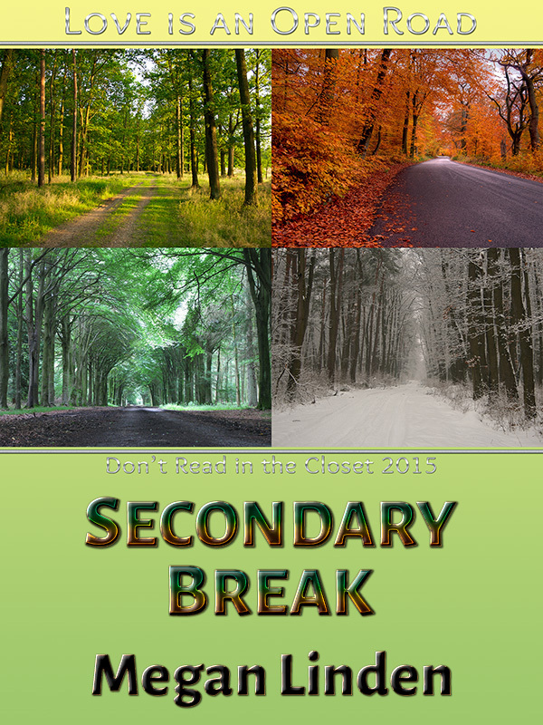 Secondary Break book cover