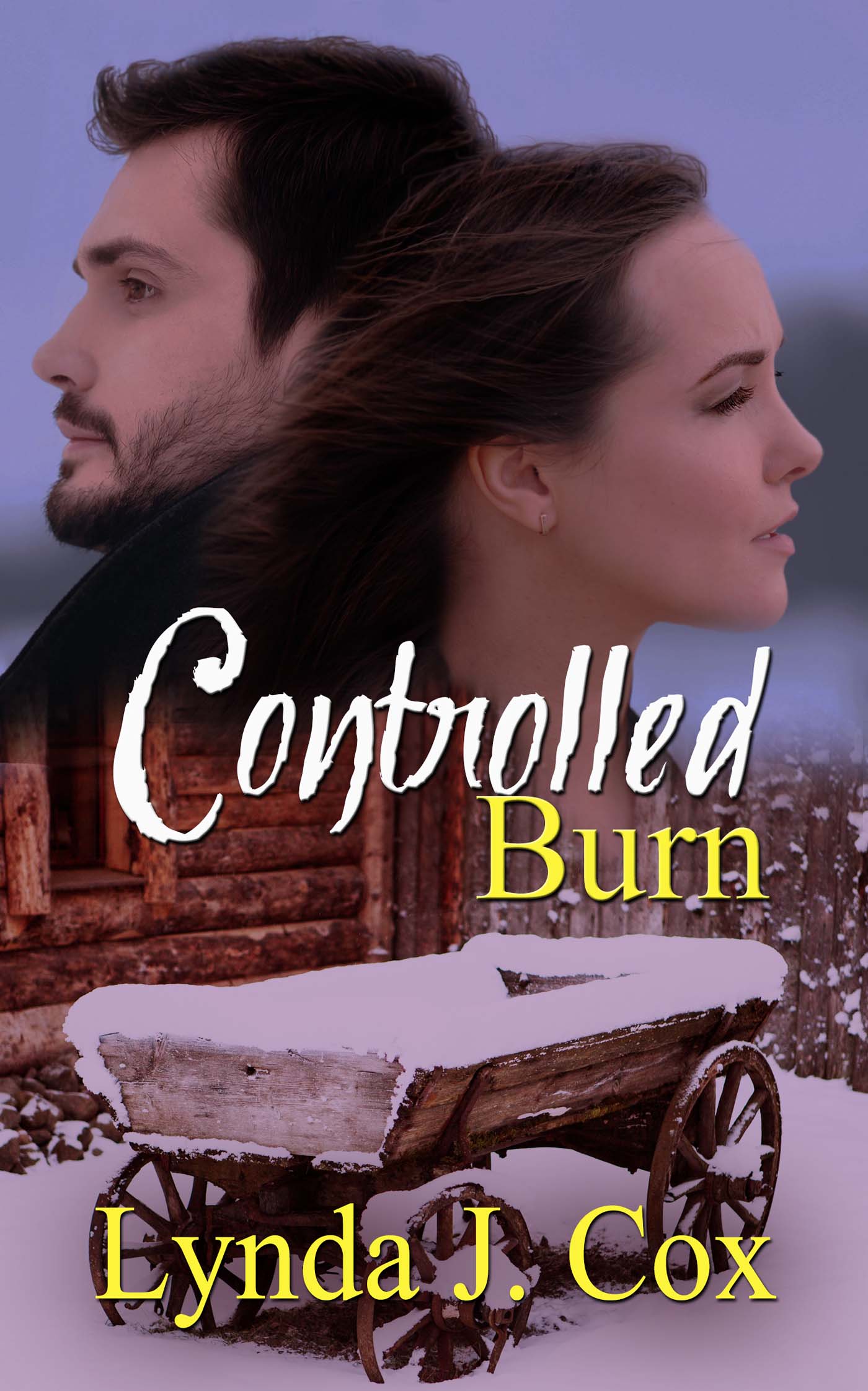 Controlled Burn book cover