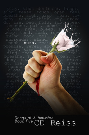 Burn book cover