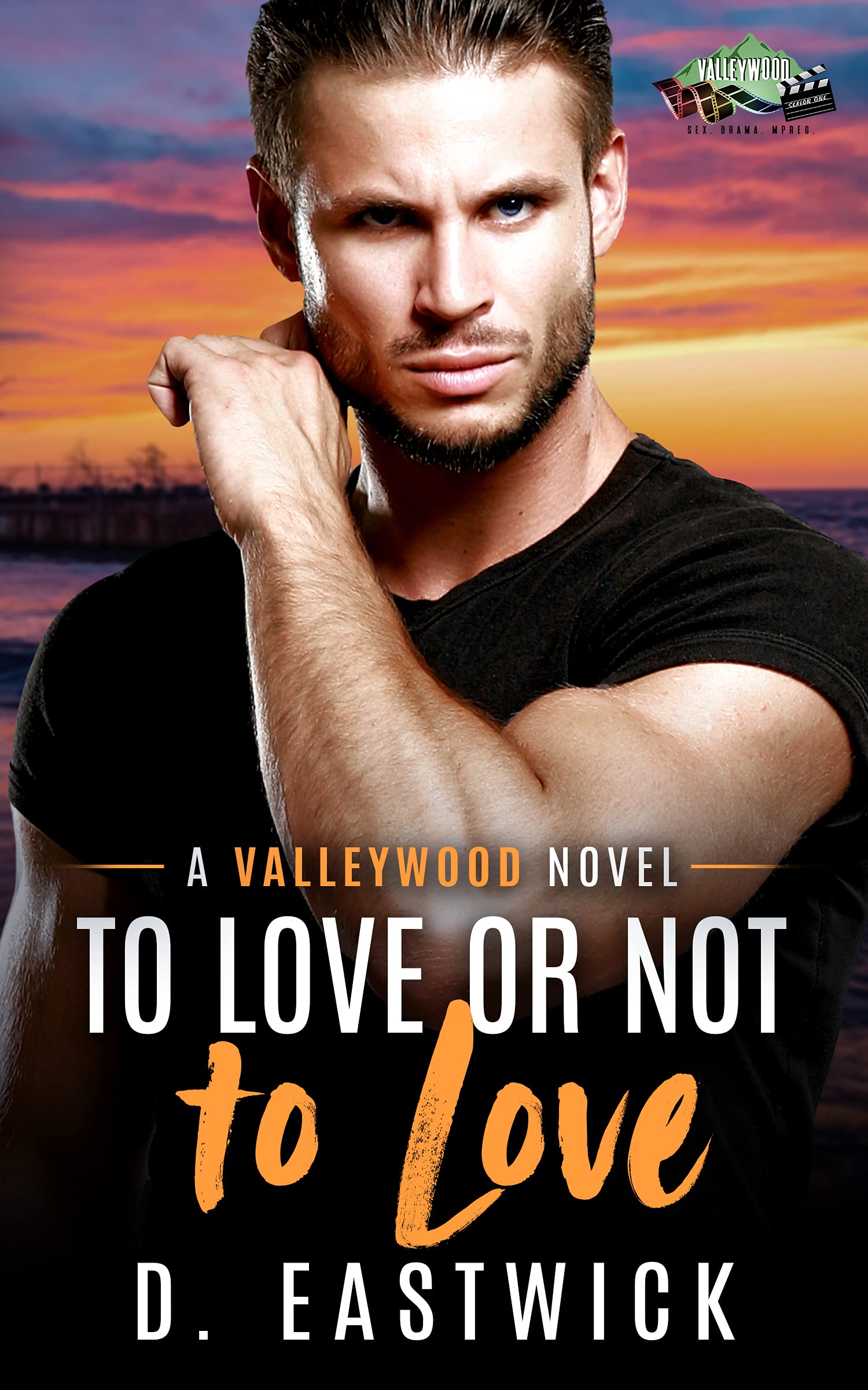Valleywood book cover 1