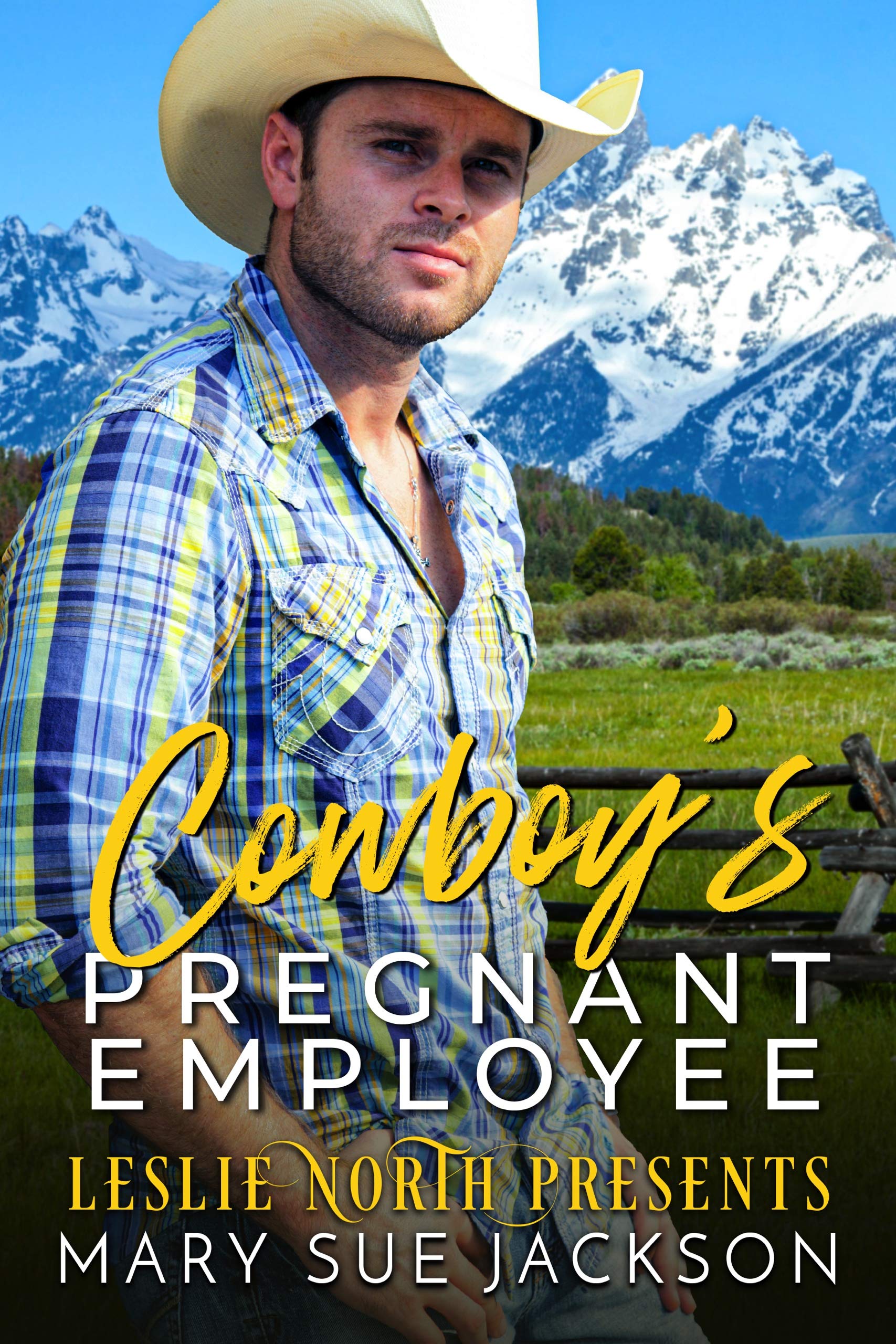 Cowboy's Pregnant Employee book cover