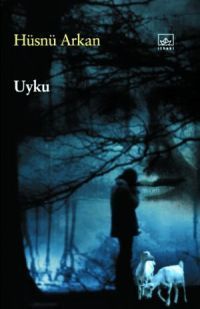 Uyku book cover