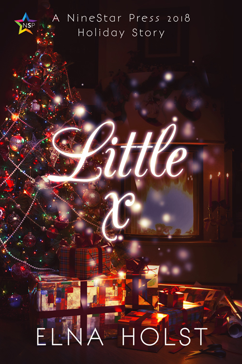 A Tinsel and Spruce Needles Romance book cover 2